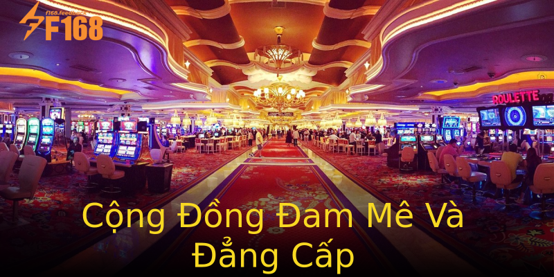 Cộng Đồng Đam Mê Và Đẳng Cấp Cộng Đồng Đam Mê Và Đẳng Cấp