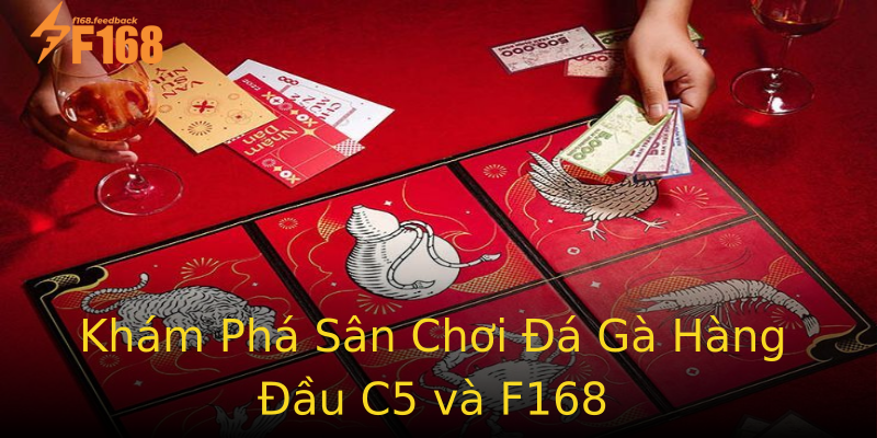 Khám Phá Sân Chơi Đá Gà Hàng Đầu C5 và F168 Khám Phá Sân Chơi Đá Gà Hàng Đầu C5 và F168