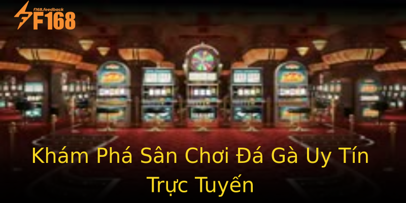 Khám Phá Sân Chơi Đá Gà Uy Tín Trực Tuyến Khám Phá Sân Chơi Đá Gà Uy Tín Trực Tuyến