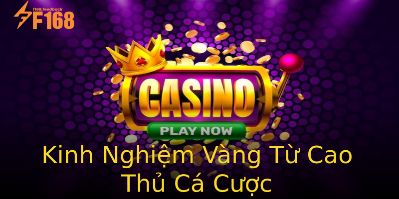 Kinh Nghiệm Vàng Từ Cao Thủ Cá Cược Kinh Nghiệm Vàng Từ Cao Thủ Cá Cược
