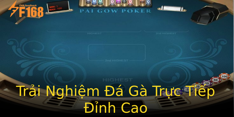 Trải Nghiệm Đá Gà Trực Tiếp Đỉnh Cao Trải Nghiệm Đá Gà Trực Tiếp Đỉnh Cao